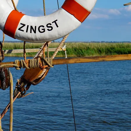 Deichrose Zingst